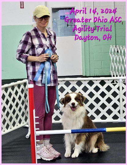 Agility Trial
